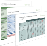 Reporting Software Solutions
